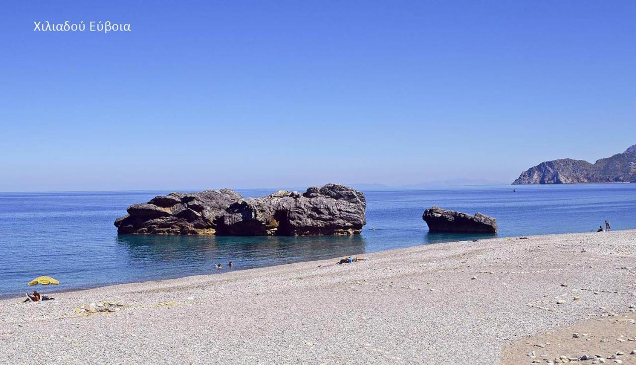 Fabulous Central Apartment Close To The Sea! Chalkís Exterior foto